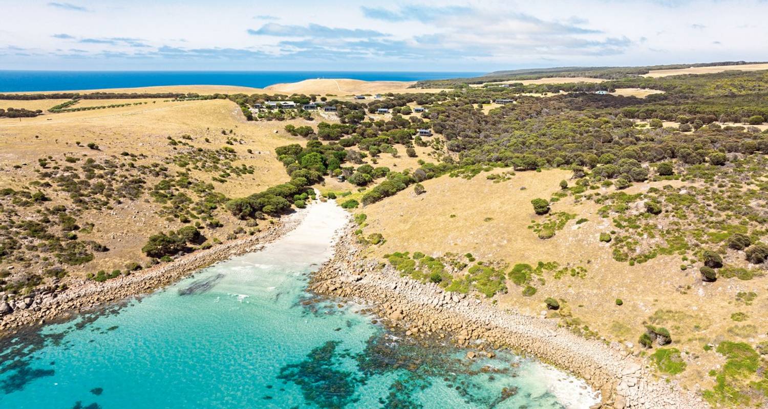 South Australia Tours in January 2026