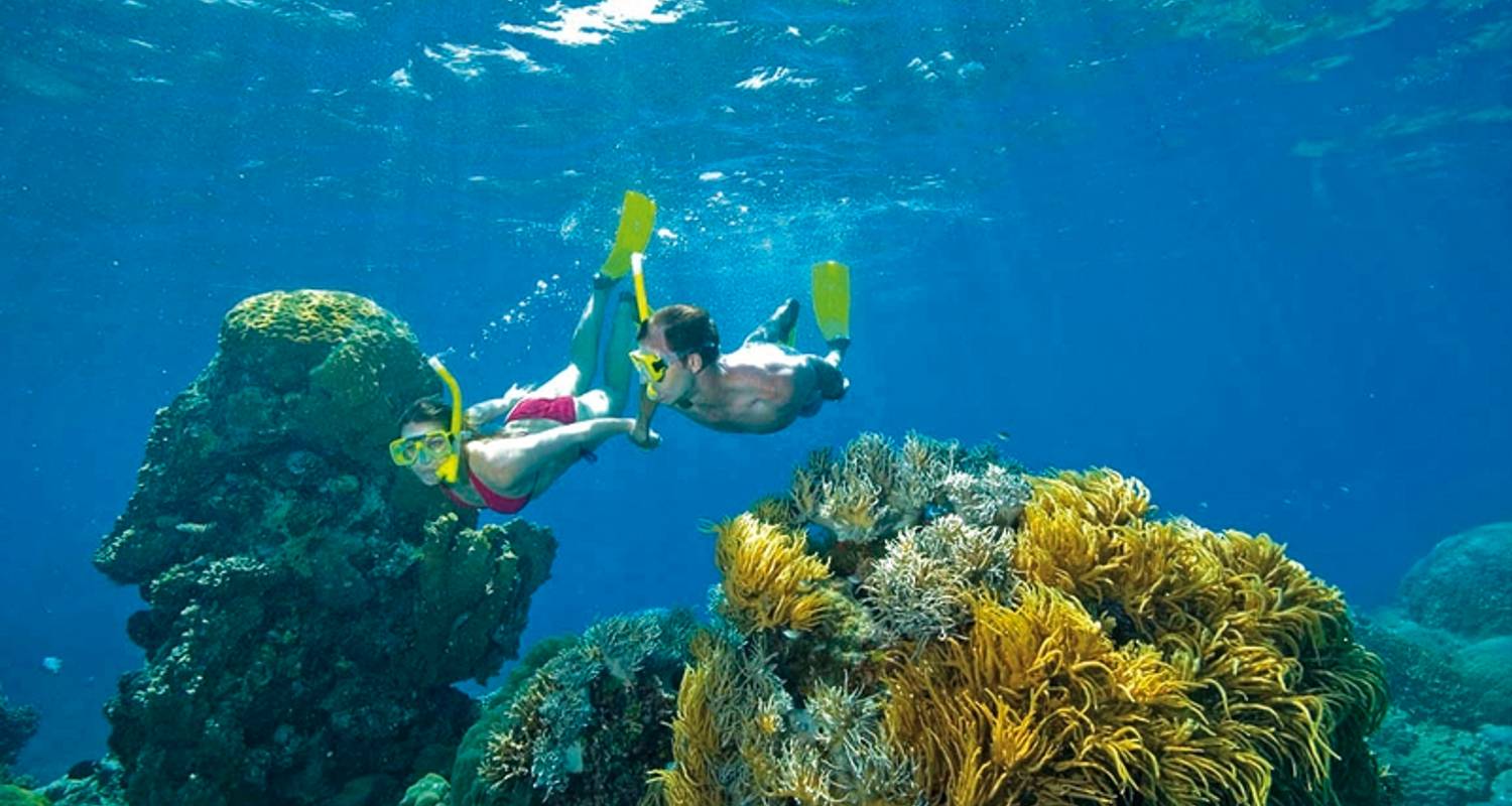 Great Ocean Road Tours & Trips