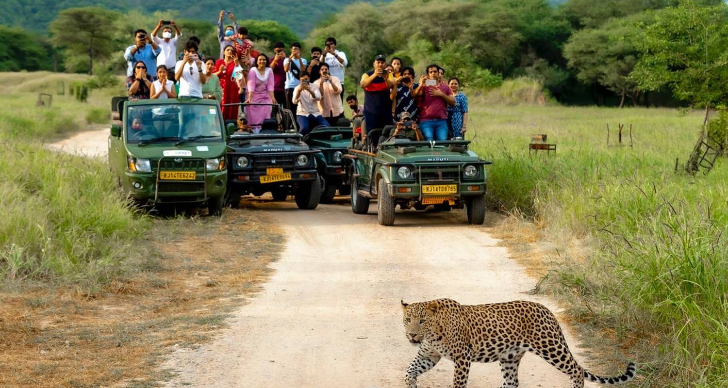 Ab Delhi: Indiens luxuriöses Goldenes Dreieck mit Leoparden-Safari und Taj Mahal bei Sonnenaufgang -  Taj Voyages Tours 