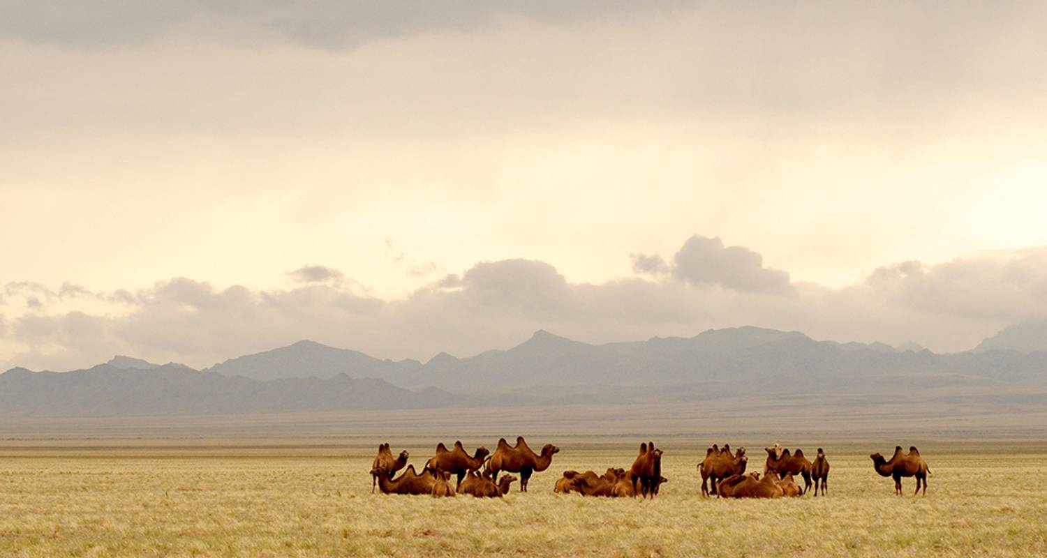 Mongolei und die Goldene Wüste Gobi - Penguin Travel