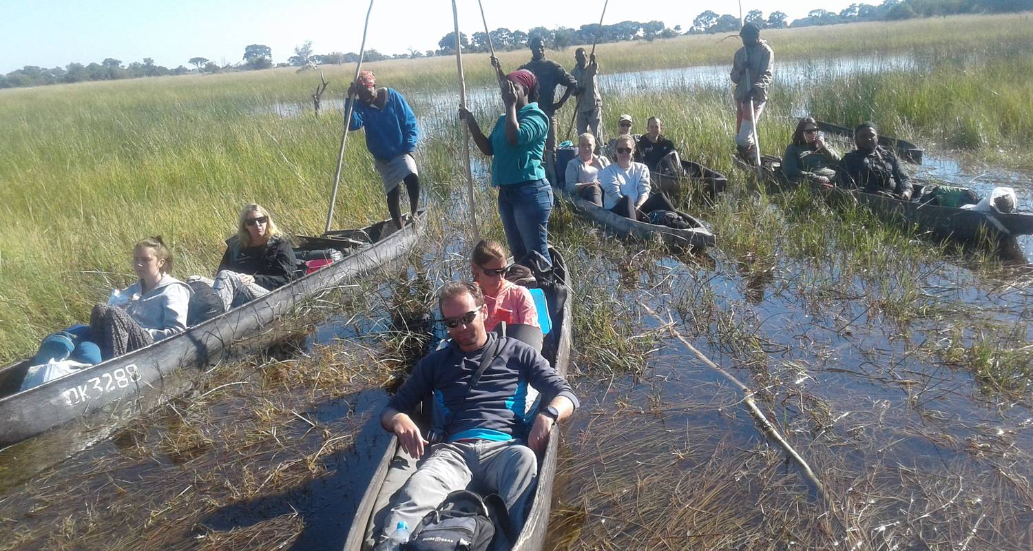 Excursión de un día al Mokoro del Delta del Okavango - Marvelous Mobile Safari