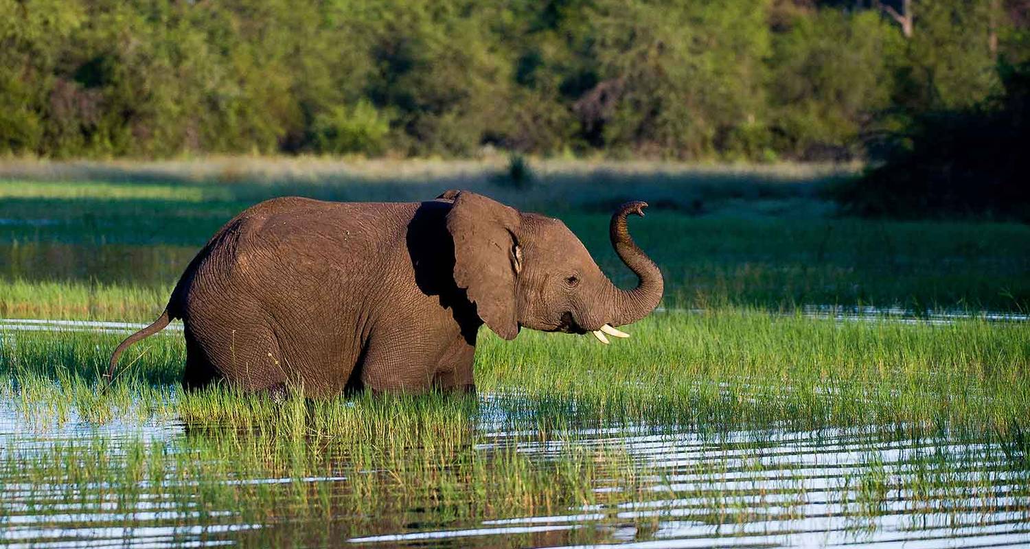 Safari de lujo en avión de 20 días por Kenia con excursión a la playa de Mombasa 2025 - CKC Tours & Travel