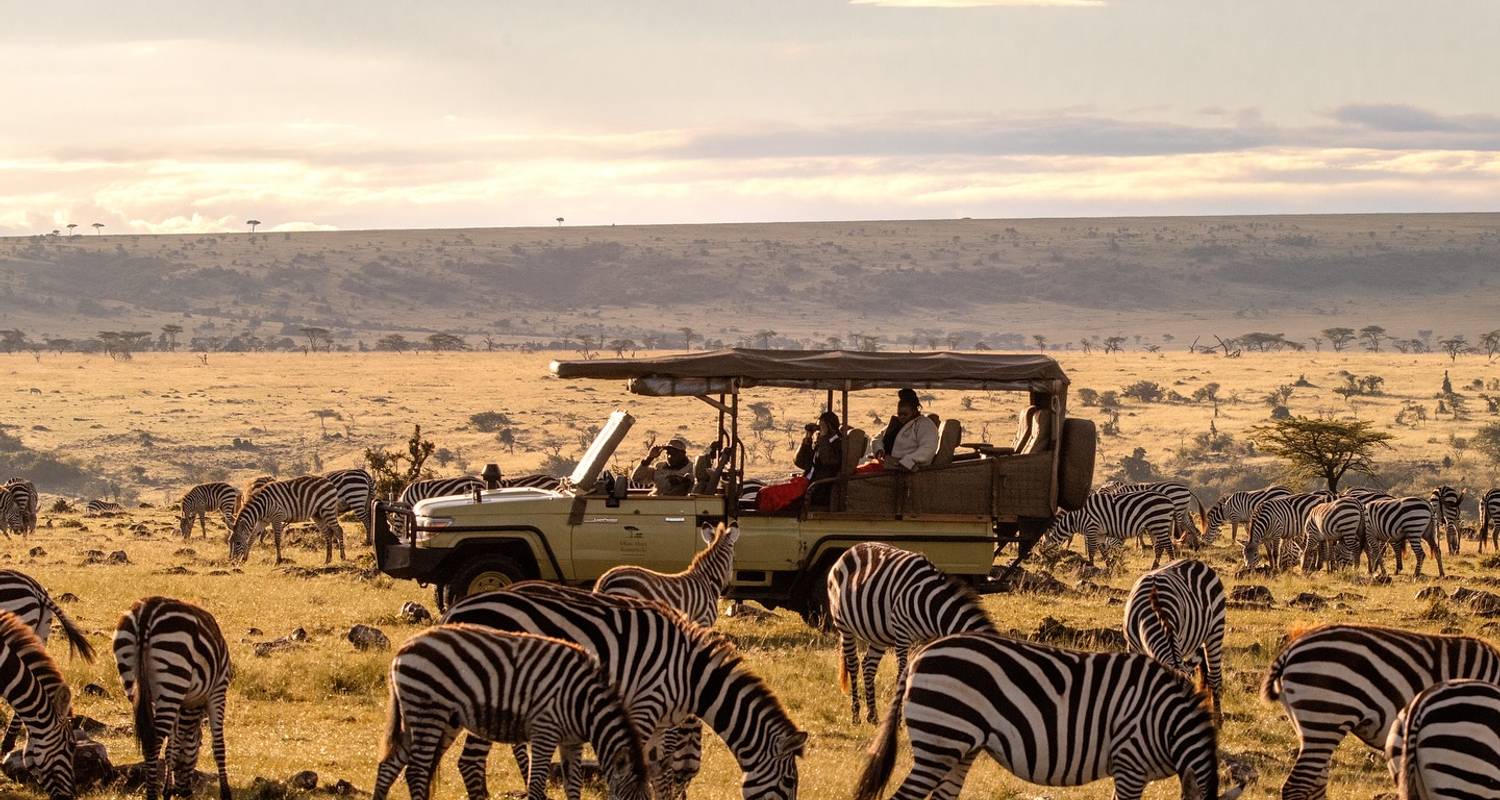 Safari en avión de lujo de 4 días en Maasai Mara - Oferta de temporada baja... - Samson's Safaris