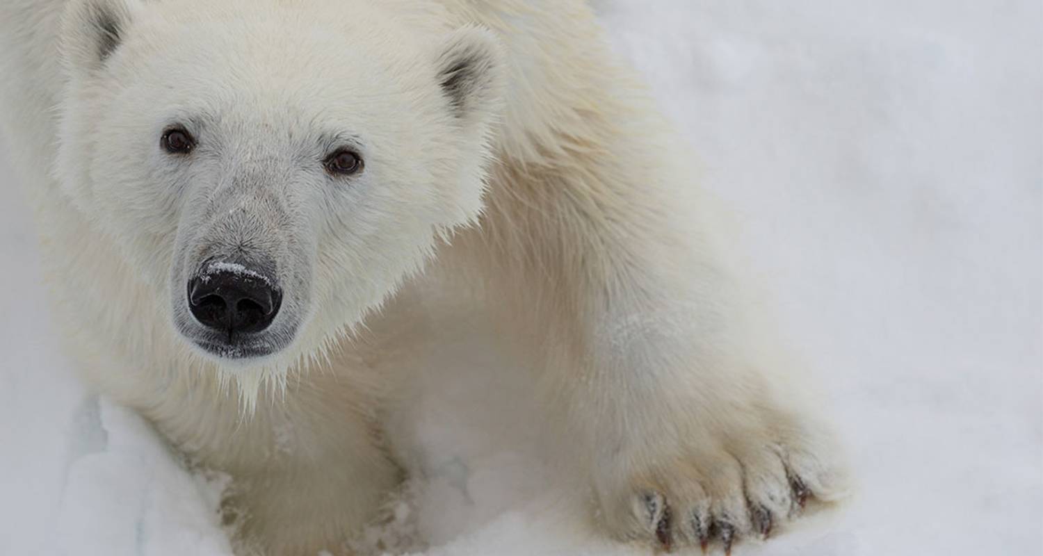 Spitsbergen Circumnavigation: A Rite of Passage