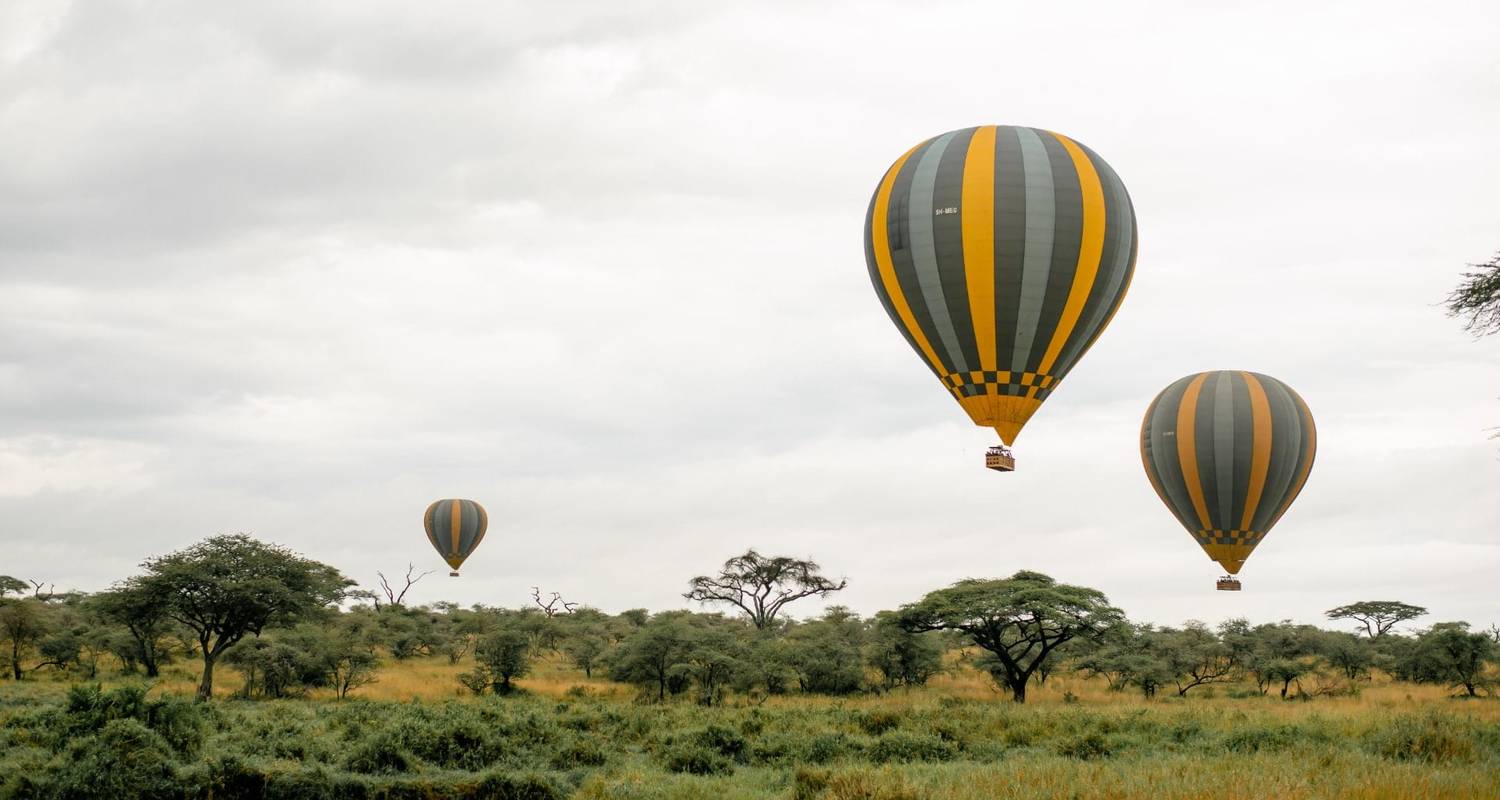 6 Tage Kenia und Tansania Mittelstreckenfahrt Safari 2025 - CKC Tours & Travel