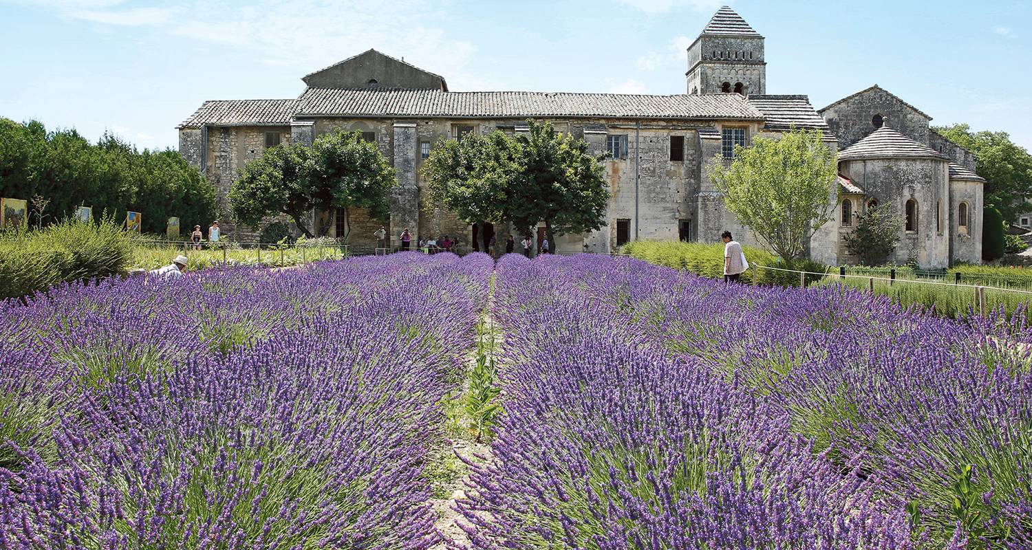 Edelsteine an der Seine & Südfrankreich 2025 - Scenic Luxury Cruises & Tours