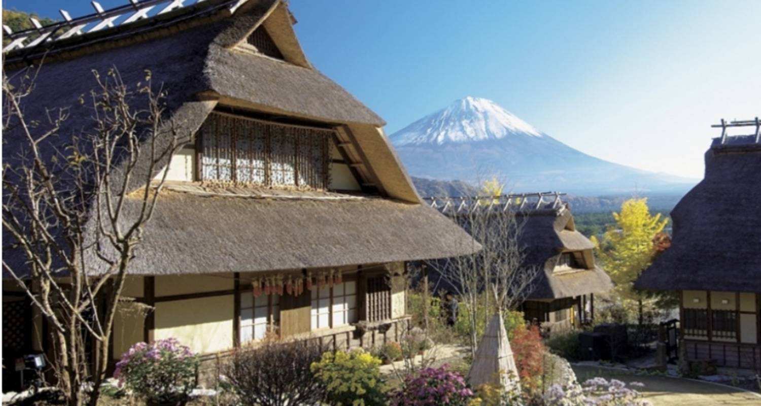 7 jours d'exploration du Japon central（Visite familiale privée ）Umetravel - UME Travel Co. Ltd