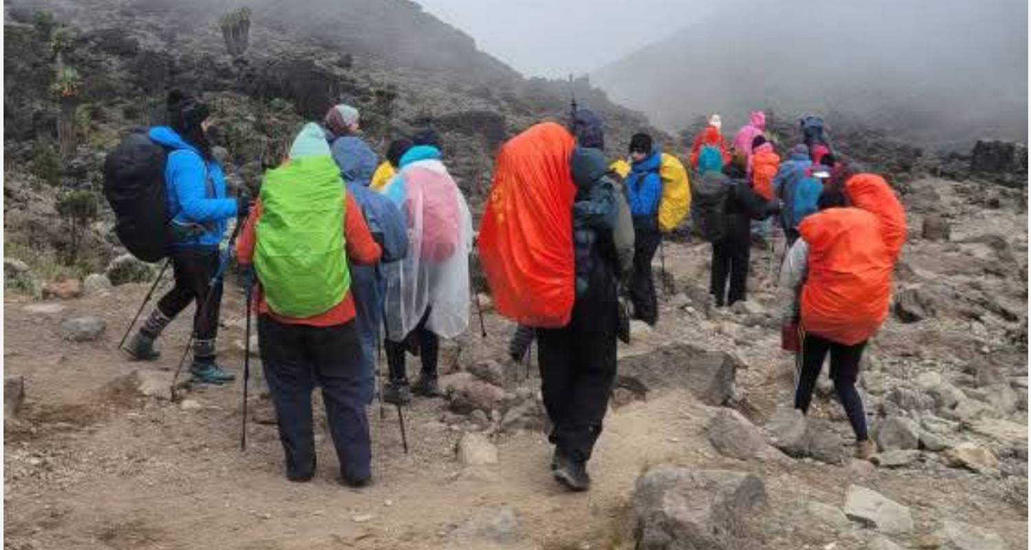 Kilimanjaro besteigen - Machame Route 7 Tage - Devine African Safaris Ltd