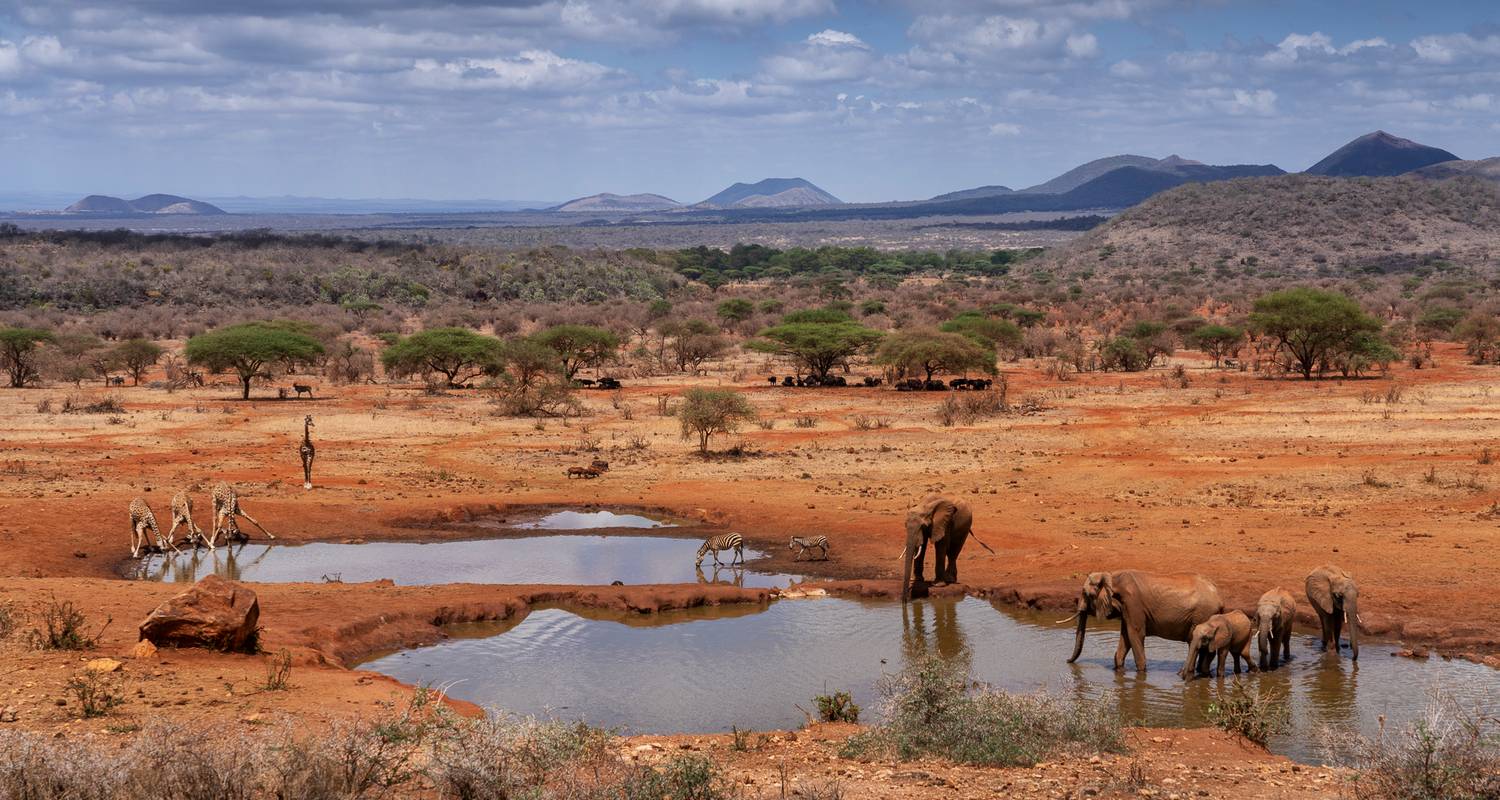 15 jours de safari en véhicule partagé au Kenya et visite de la plage de Watamu 2025 - CKC Tours & Travel