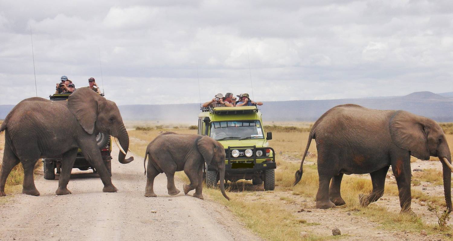 9-daagse safari in het middensegment van Kenia met een 4x4 Landcruiser - Gracepatt Ecotours Kenya