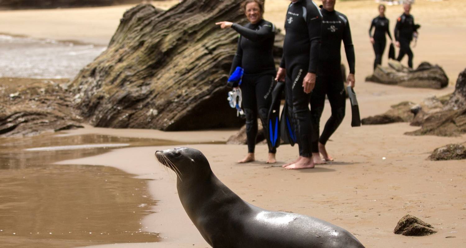 Escapada Activa de 9 Días a Galápagos - Ecuador Galapagos Travels