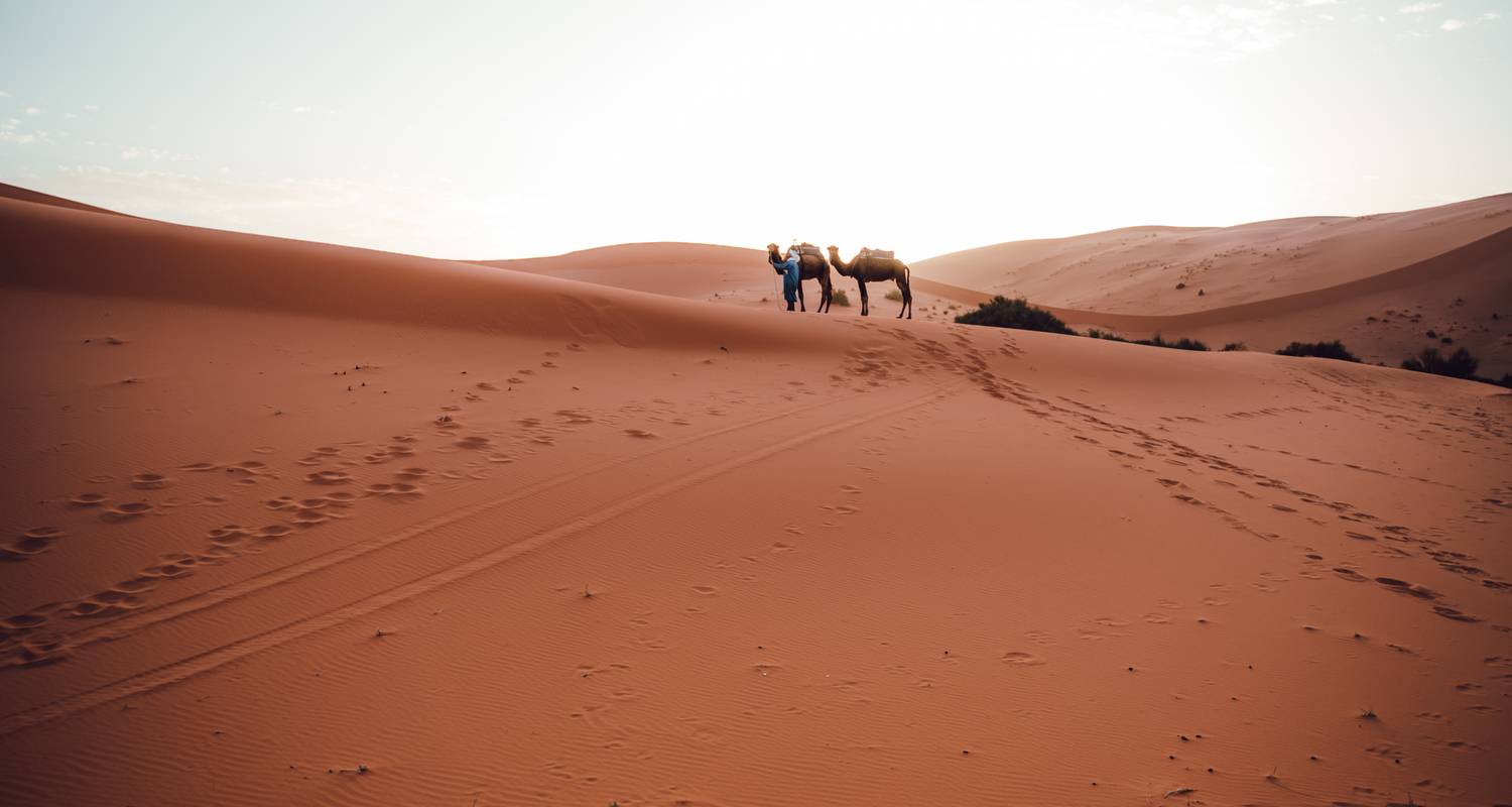 Sahara Wüste Trekking Tour & Wildes Camping - Escorted Morocco Tours