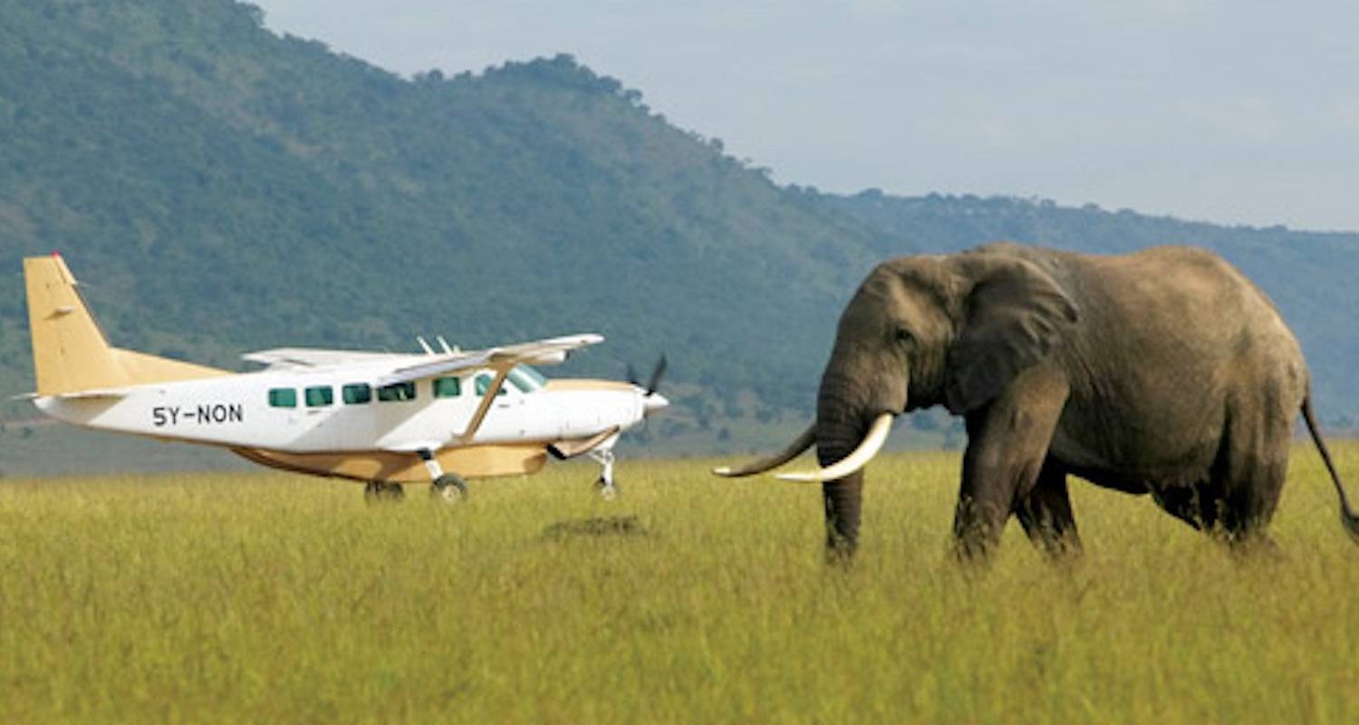 5 jours de safari aérien de luxe à Amboseli et Masai Mara au Kenya - Gracepatt Ecotours Kenya