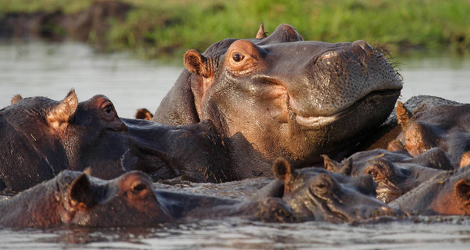 Découverte de l'Okavango et du Chobe (avec hébergement) - 8 jours - On The Go Tours