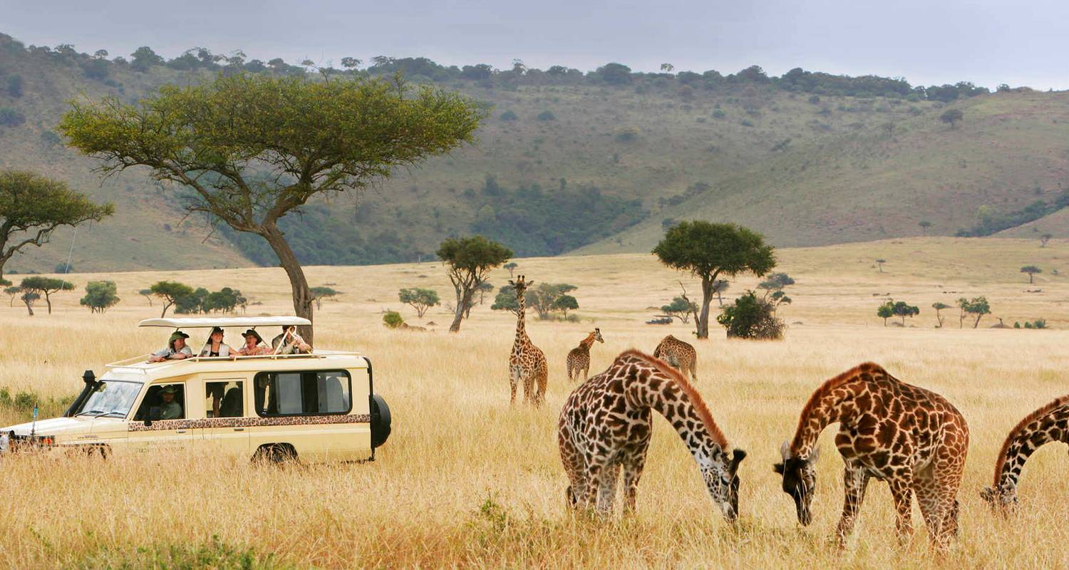 12-daagse all-inclusive luxe safari & strandontsnapping - Professional Safari Africa