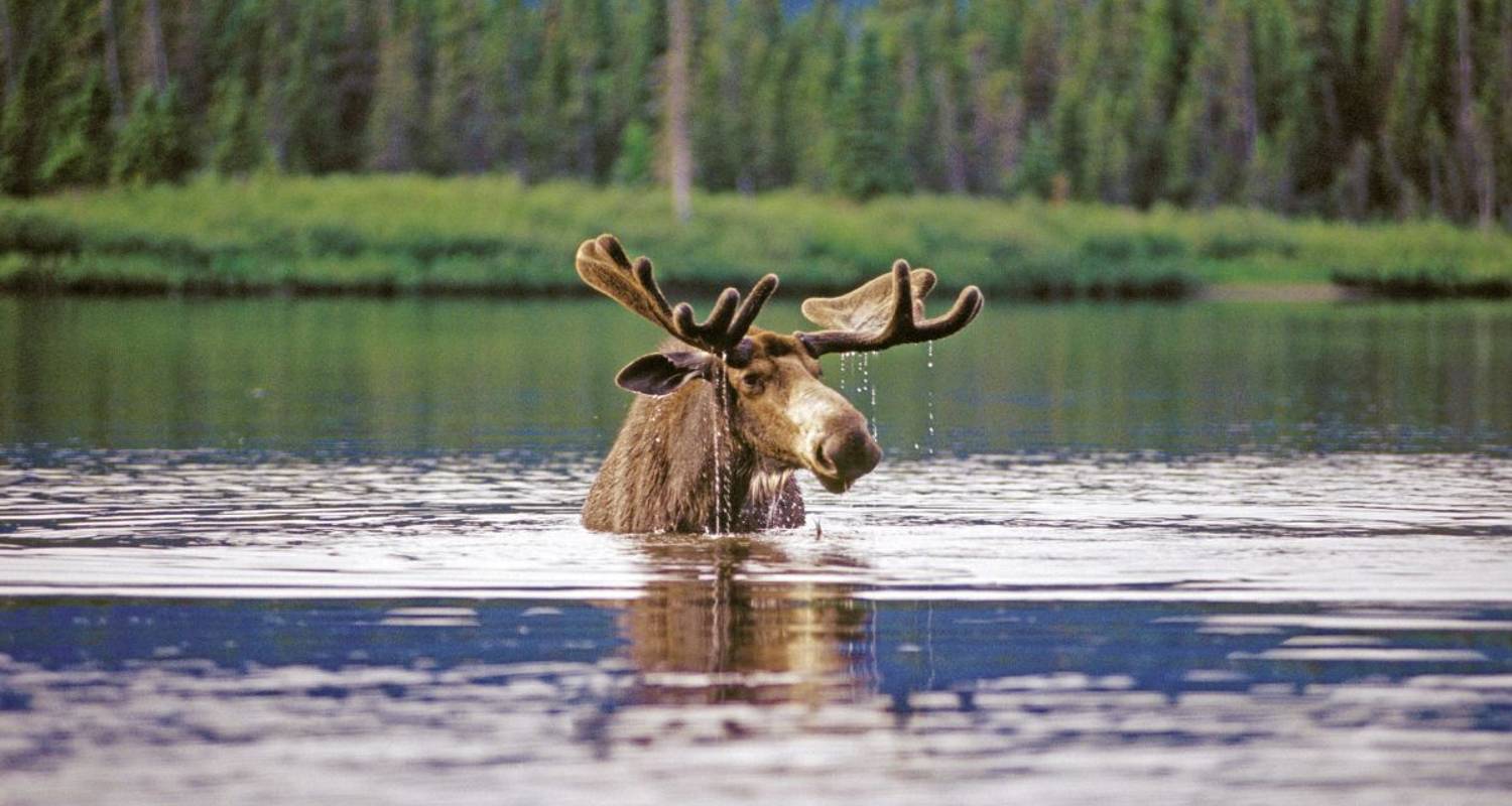 Canada met al zijn facetten - DIAMIR Erlebnisreisen