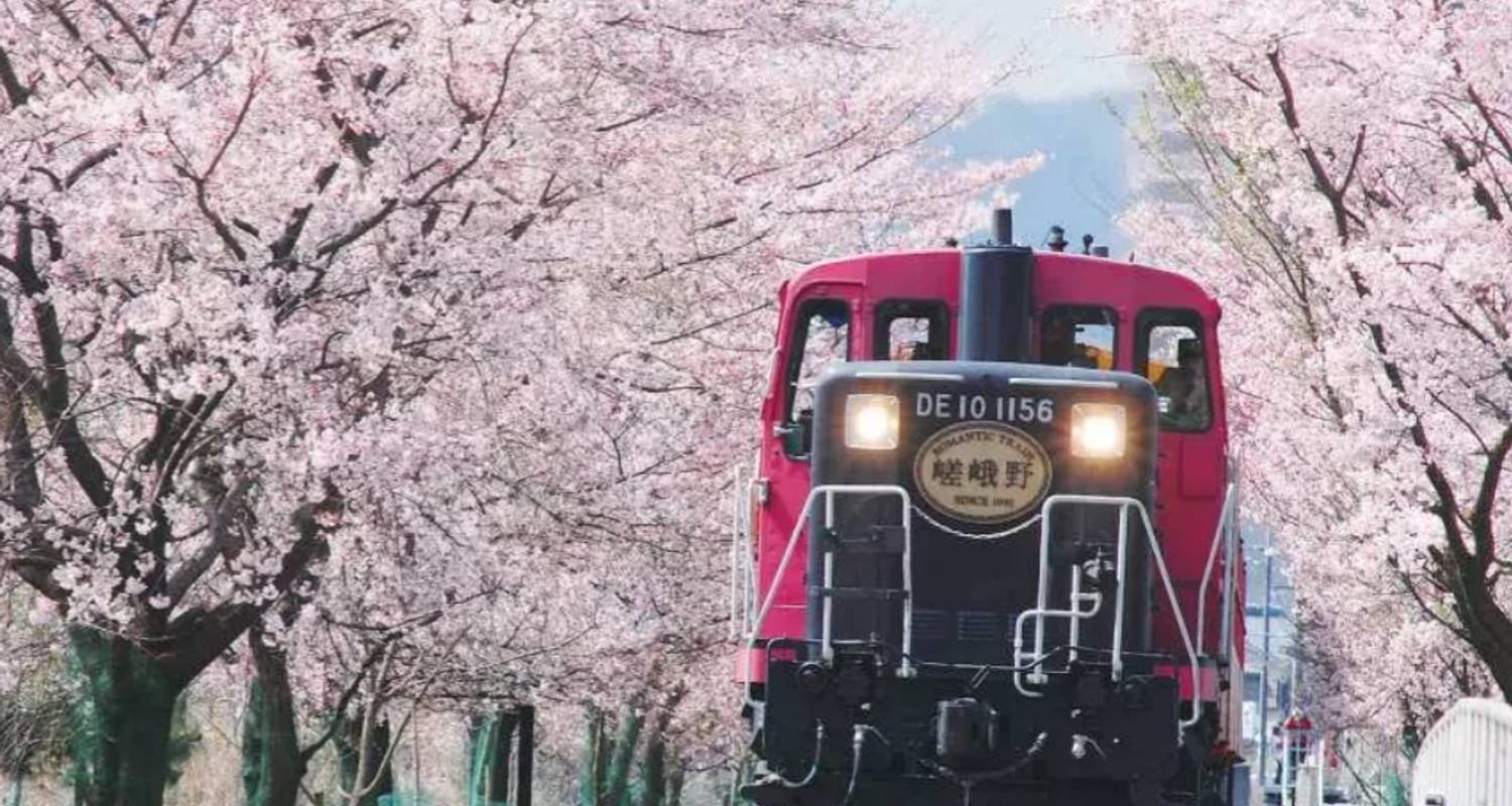 Japón Central Panorámico de 11 Días（Guía y Conductor Privados） - UME Travel Co. Ltd