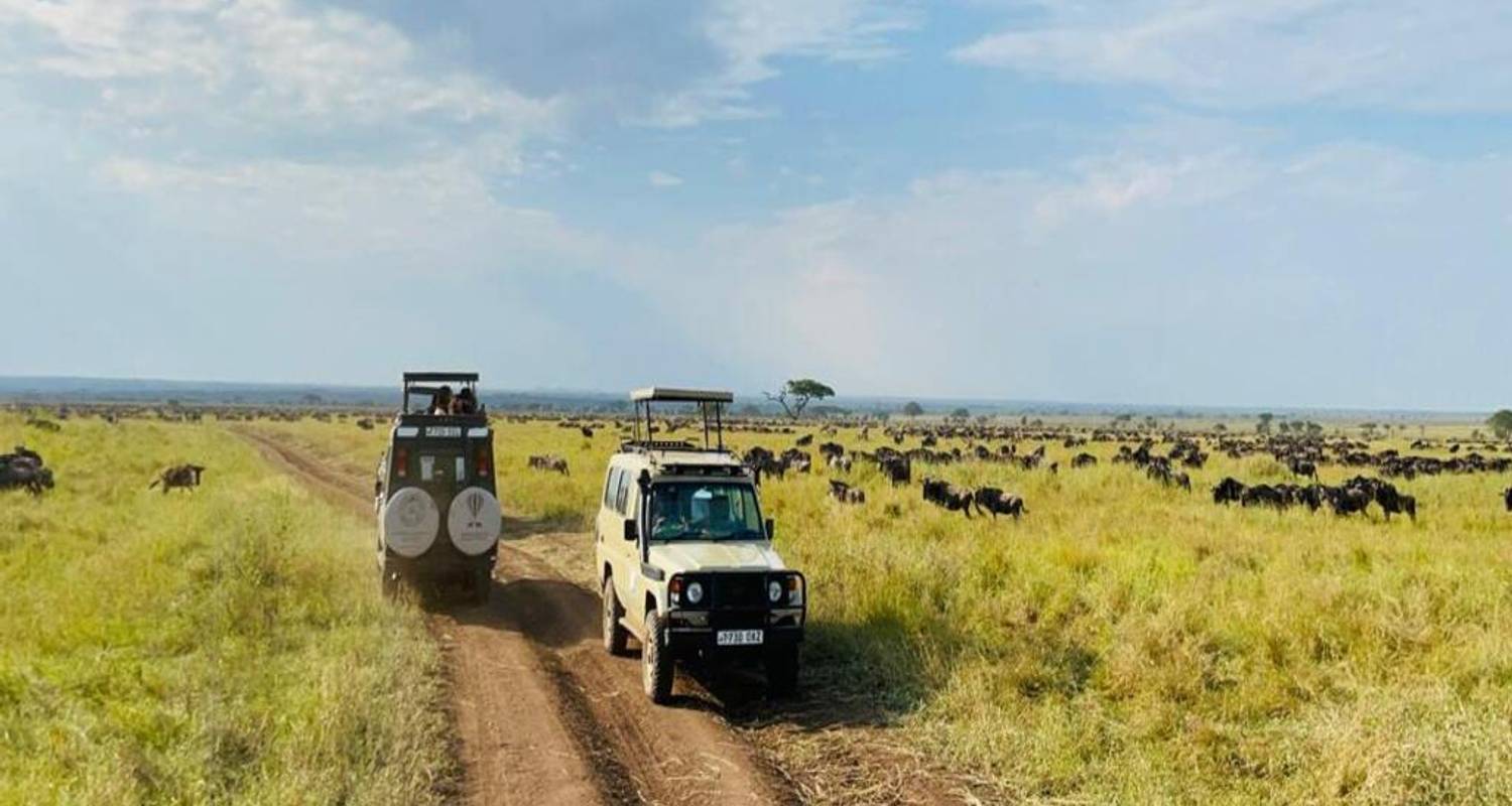 Safari en albergue: Tarangire, Serengeti, Cráter del Ngorongoro y Lago Manyara - Devine African Safaris Ltd