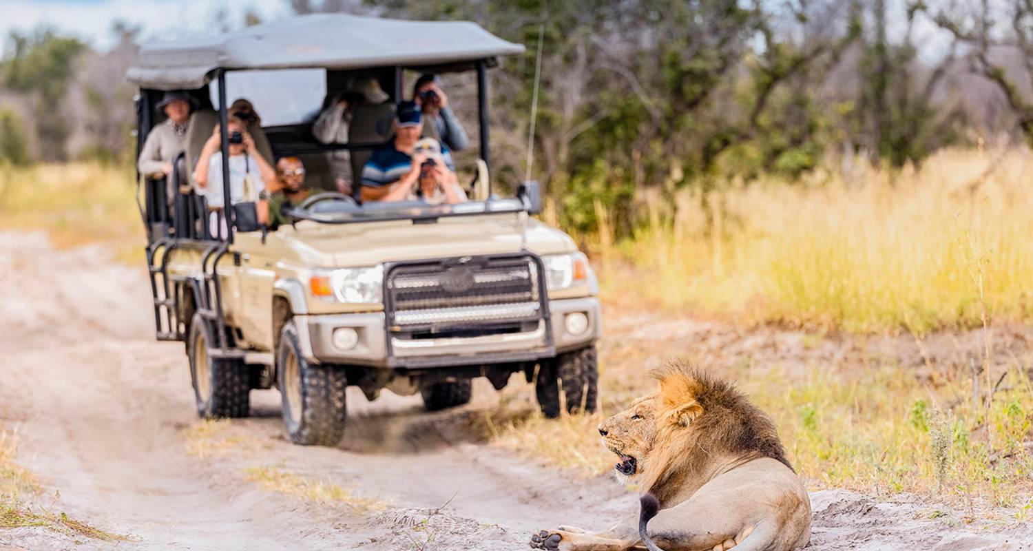 Zuidelijk Afrika Safari Reünie 35 tot 45 (Alleen beschikbaar voor Contiki eerdere reizigers, Reünie, 21 dagen) - Contiki