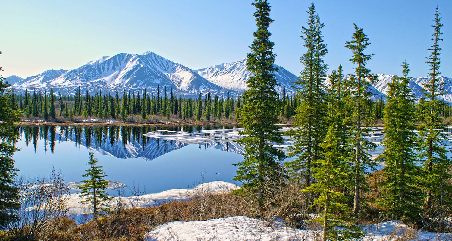 Alaska Discovery Land & Cruise avec une croisière de 7 nuits de Holland America (de Fairbanks, AK à Vancouver, BC) (2026) - Collette