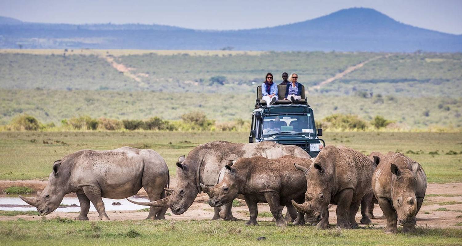 2 jours de safari de luxe à Solio Ranch en jeep 4x4 Landcruiser - Gracepatt Ecotours Kenya