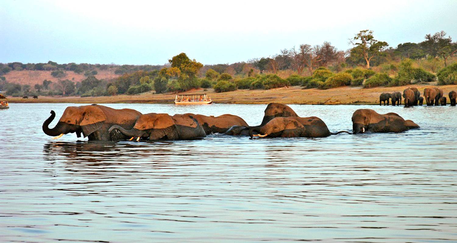 Expreso de 8 días por el Delta del Okavango y Chobe (Camping) - Acacia Adventure Holidays