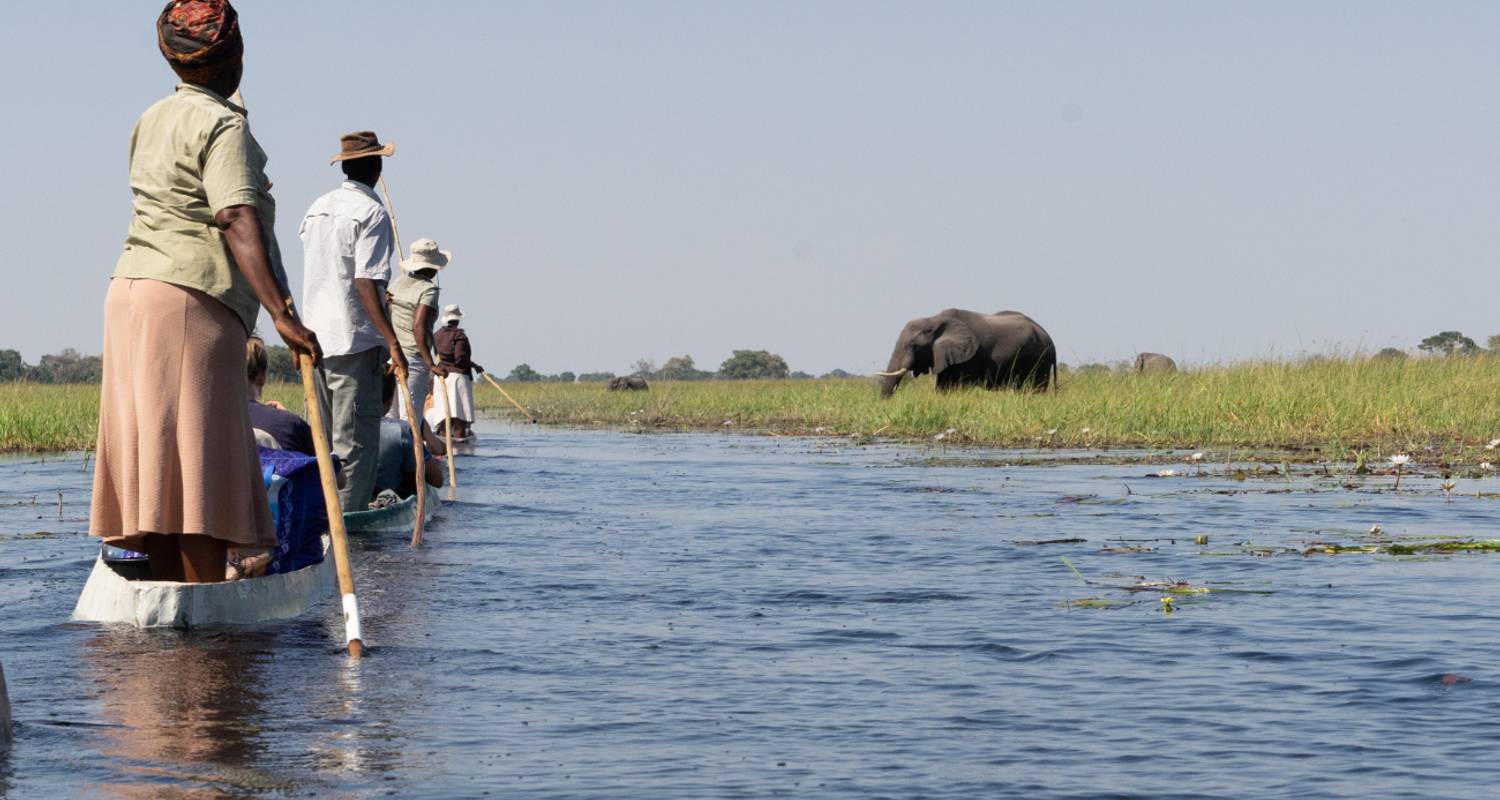 Expreso de 8 días Chobe y Delta del Okavango (Camping) - Acacia Adventure Holidays