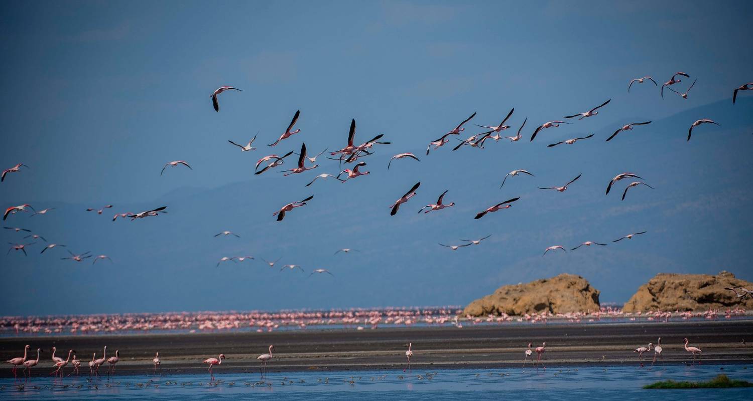 Tarangire Nationalpark Reisen