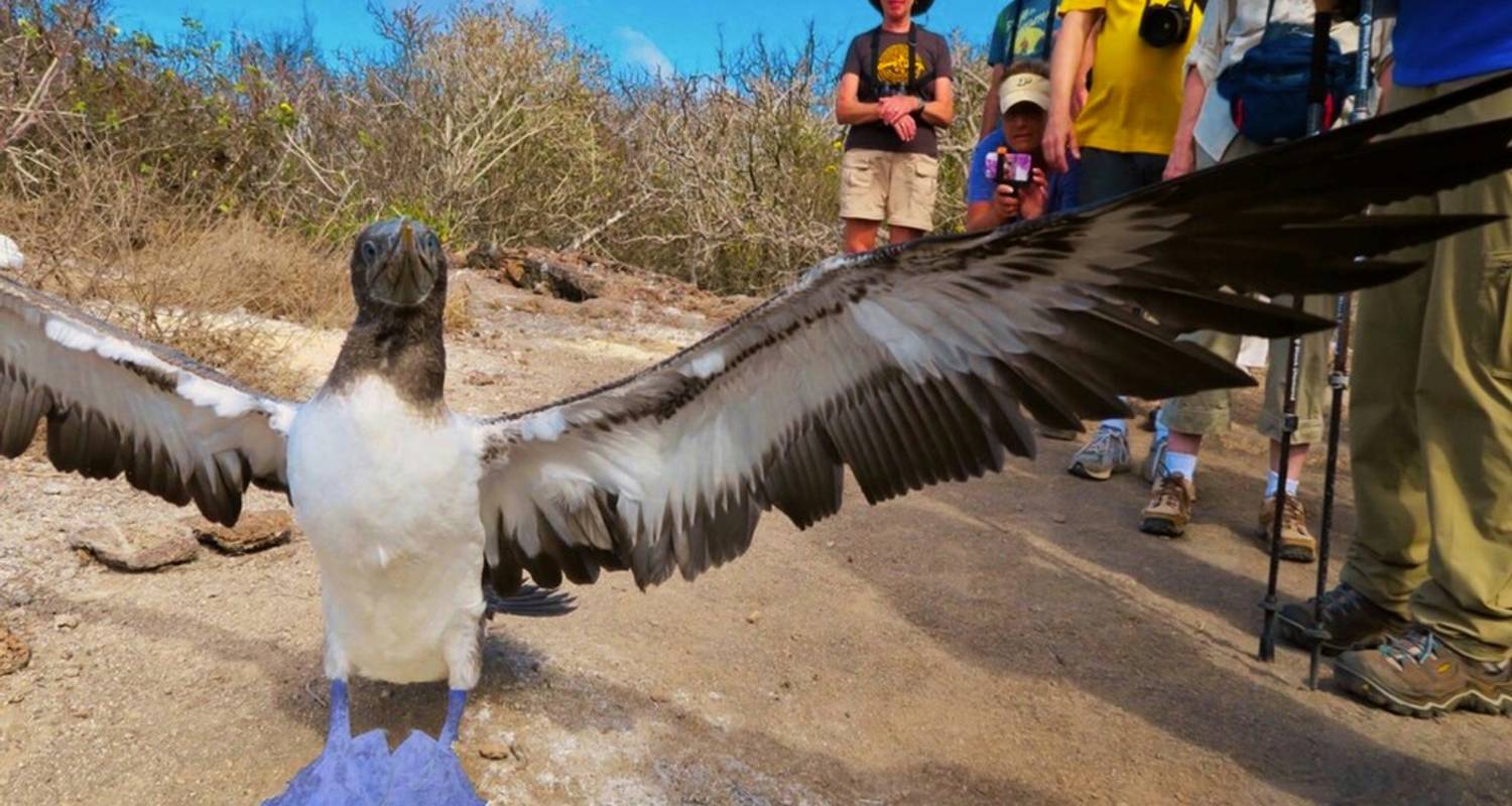 Équateur et Galápagos : 8 jours de magie de la nature - Wanderful Holidays LLC