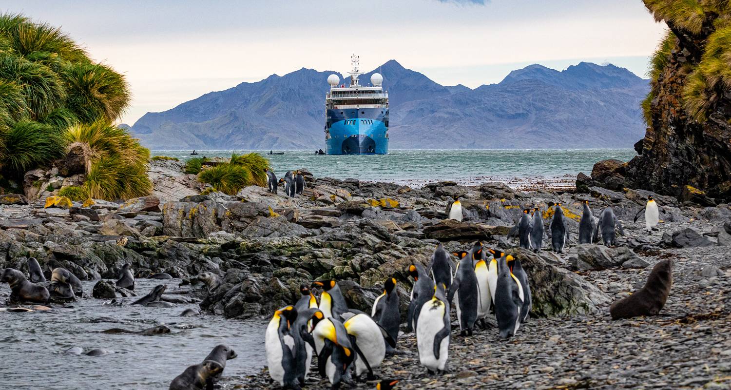 Antarctica, South Georgia & Falklands Explorer - 19 dagen - On The Go Tours