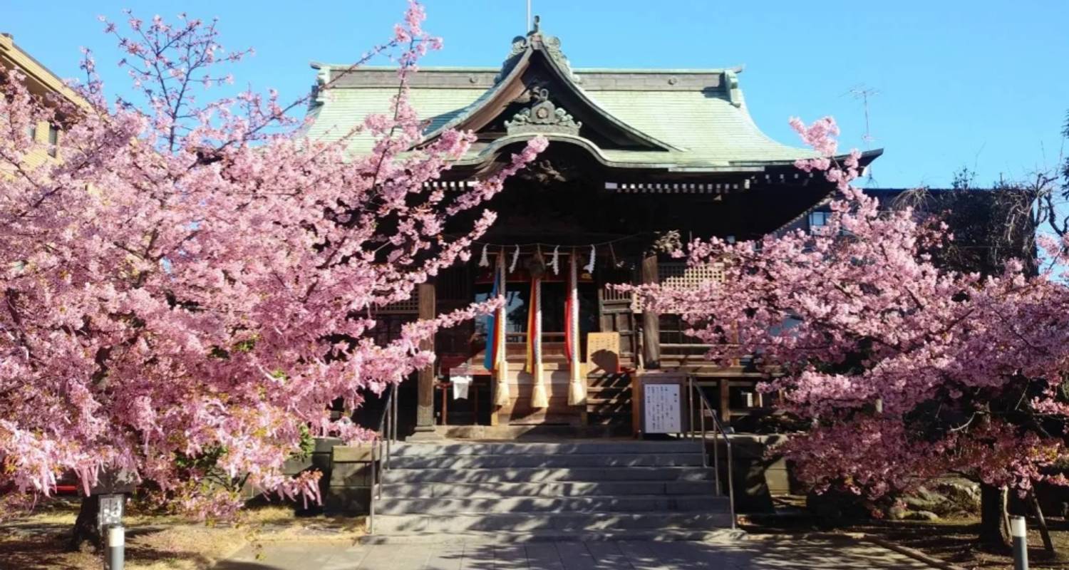 10 jours - Festival des cerisiers en fleurs du sud du Japon（Privé avec guide et chauffeur） - UME Travel Co. Ltd