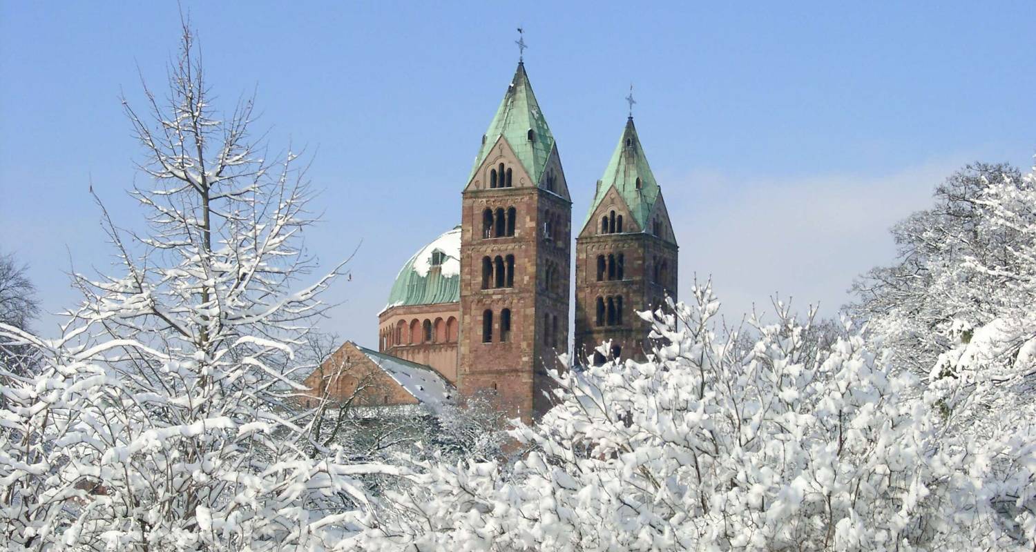 Croisière de Noël sur le Rhin - Cologne - Cologne - Lueftner Cruises