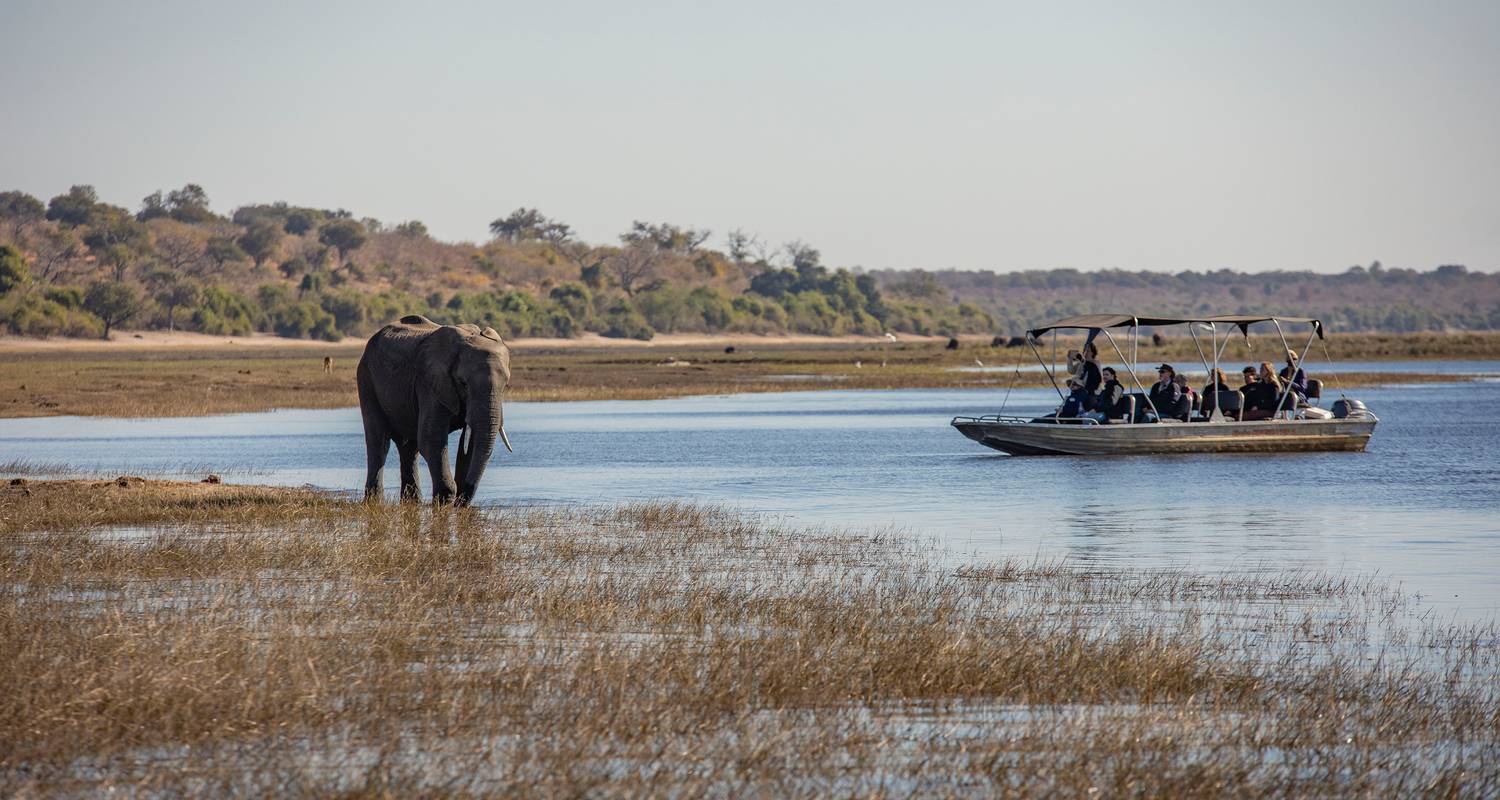 Compleet Botswana: Nationale parken en deltawild - G Adventures