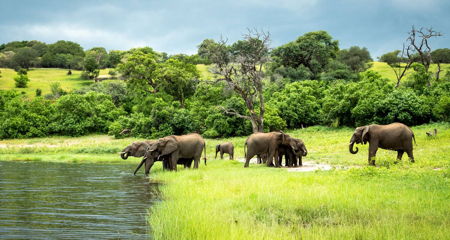 Safari Zimbabwe & Botswana: Victoria watervallen & de grote vijf - G Adventures