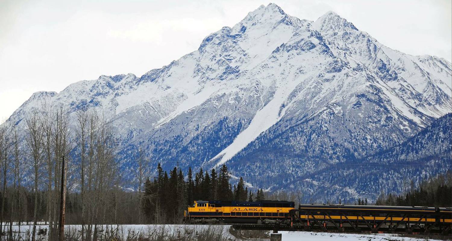 L'Alaska en hiver : Les aurores boréales et l'aventure en traîneau à chiens - G Adventures