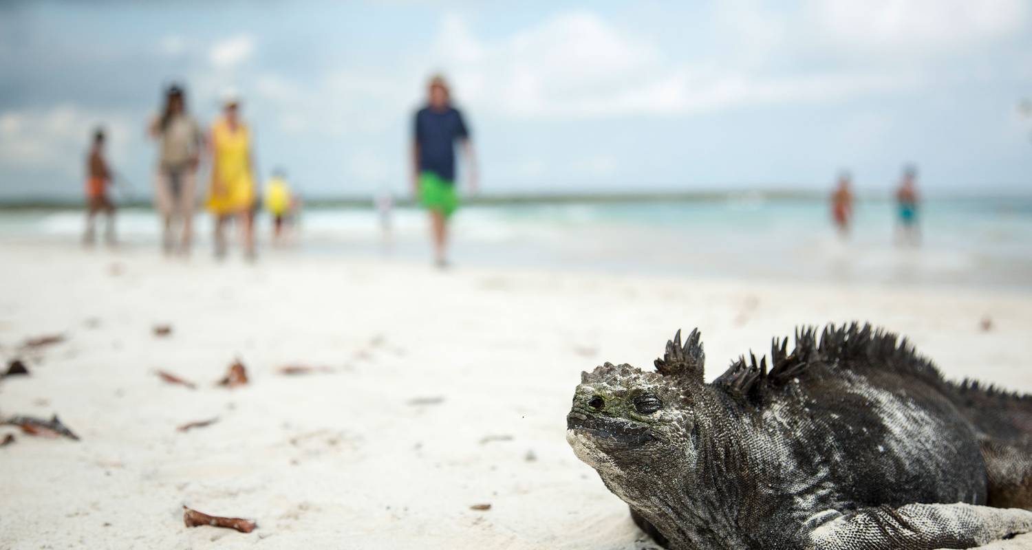 Galapagos alleen - G Adventures