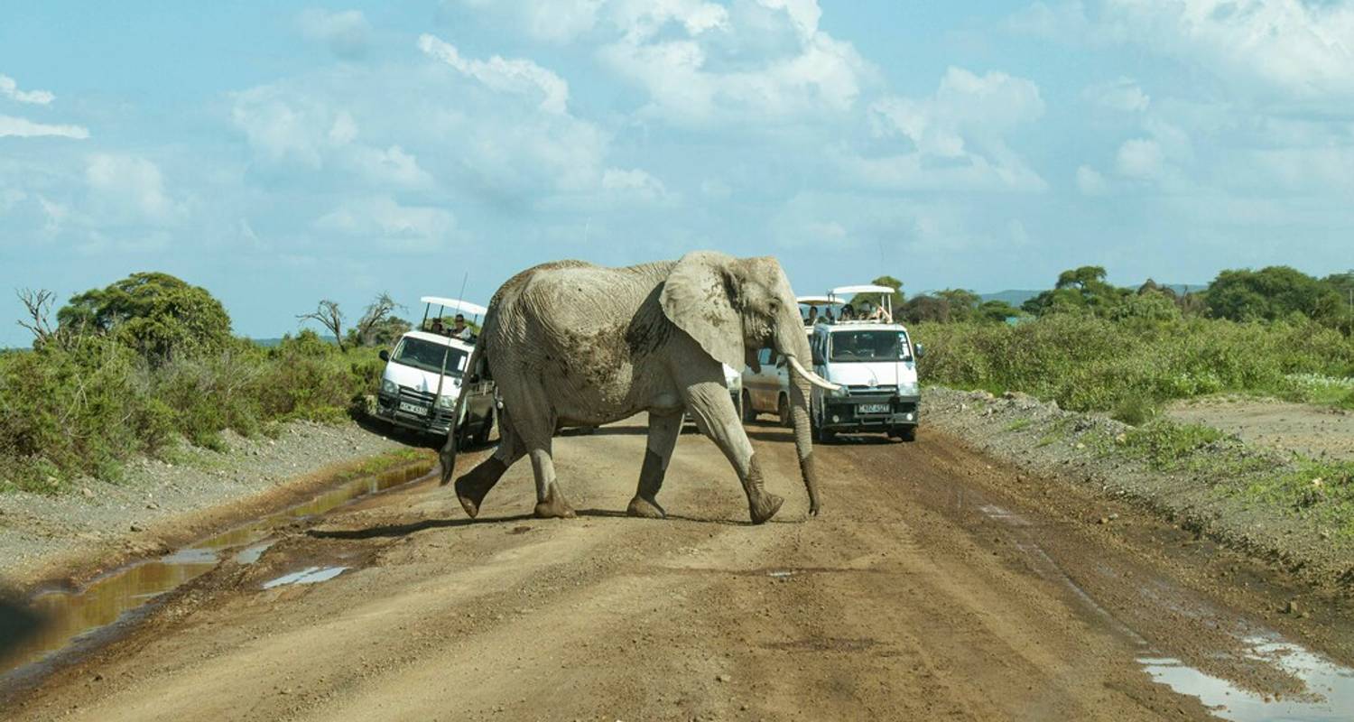 Kenya: 9 Days of Wildlife Wonders and Coastal Relaxation W/All Meals - Wanderful Holidays LLC
