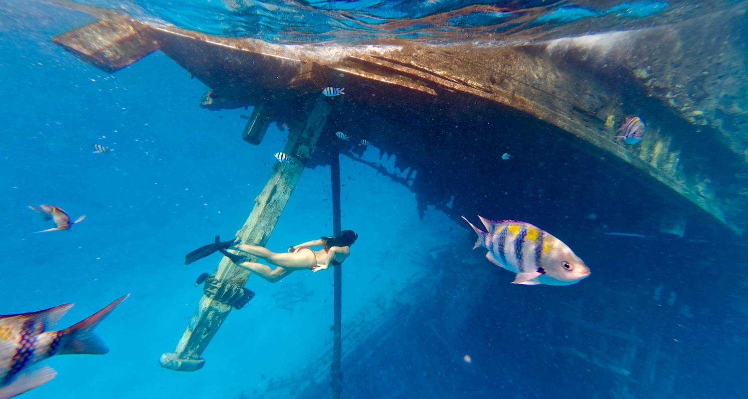 Escapada de ensueño de 7 días a las Maldivas: Dicha de sol, arena y snorkel - Autopia Tours