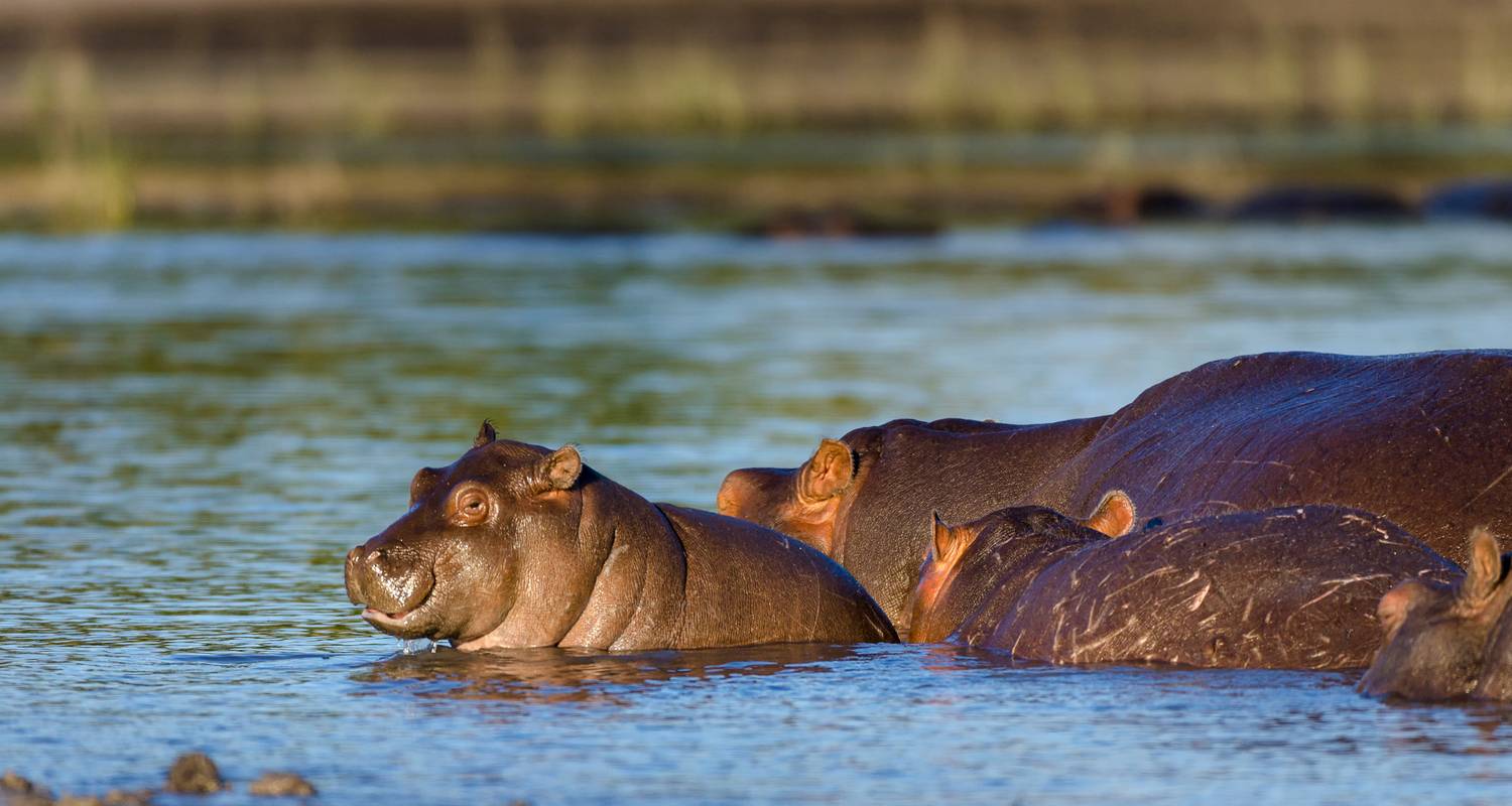 Great African Roadtrip : Rêves de désert et merveilles de safari (16 destinations) - journaway