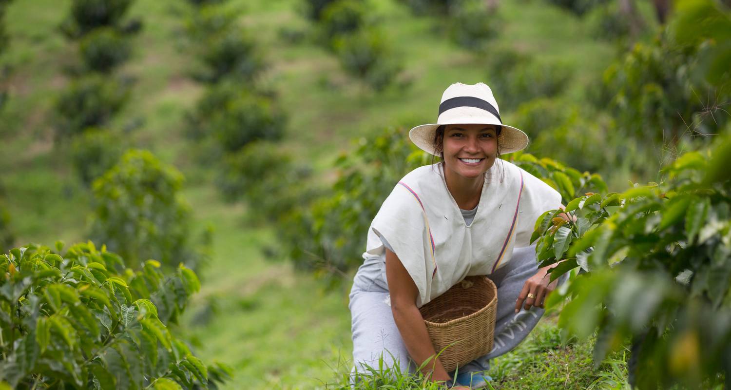 Appel de la Colombie : là où la vie est pleine de café et de couleurs (5 destinations) - journaway