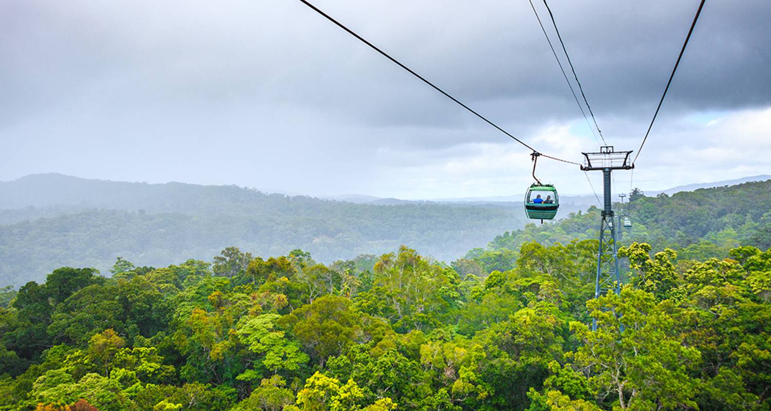 Trouvez votre lumière : Aventure à Daintree et Cape Tribulation - Intrepid Travel