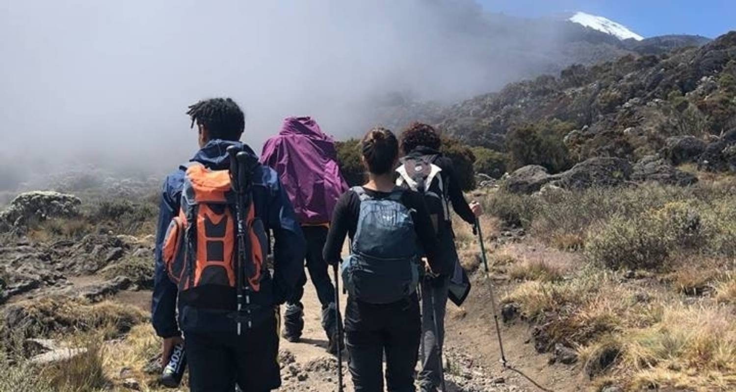 Senderismo de 7 días por la Ruta Machame del Kilimanjaro - Kilimanjaro Economy Safari