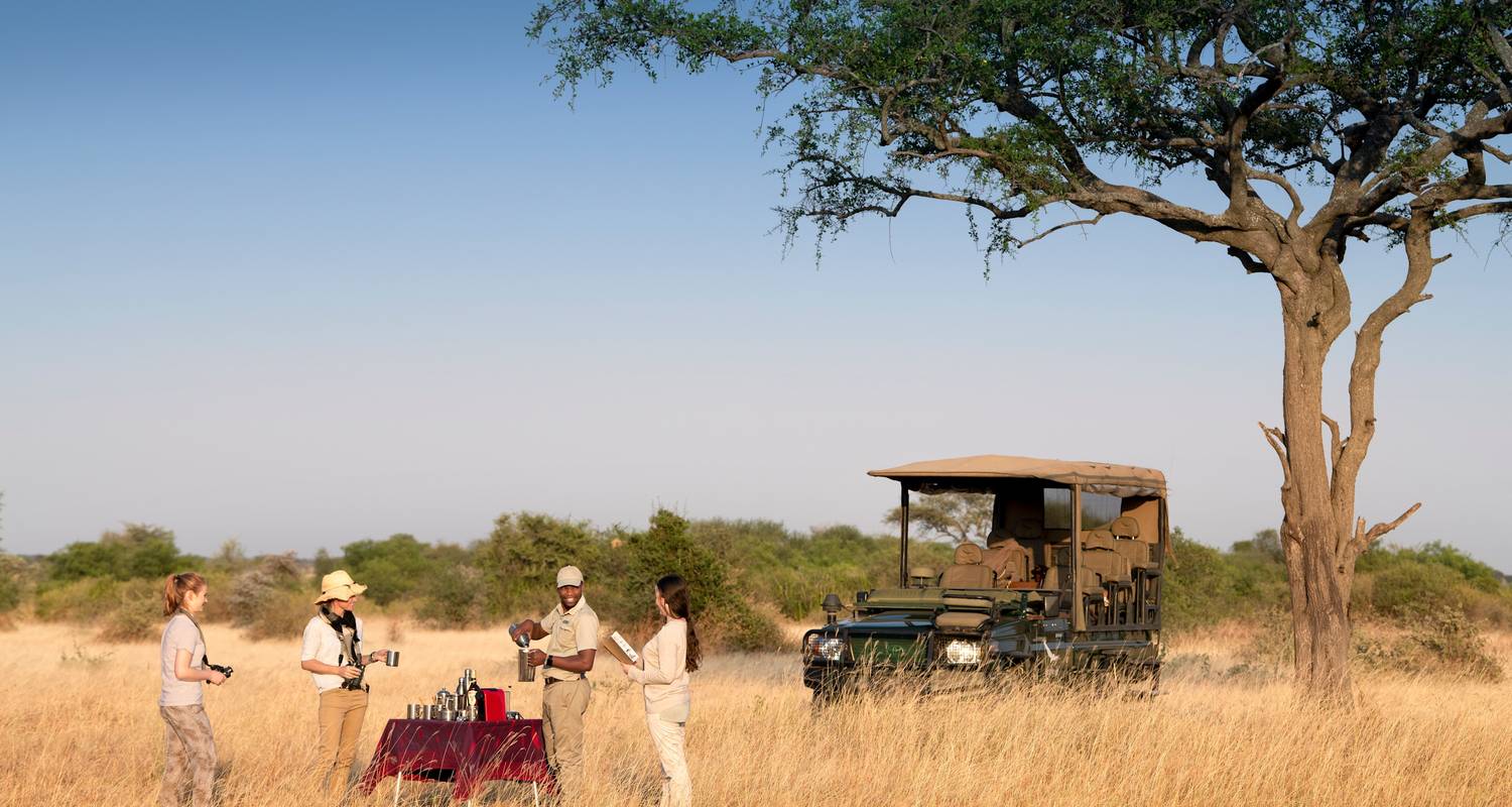 Tanzania Wildlife & Wonder Safari - 6 Dagen - T.S TOURS