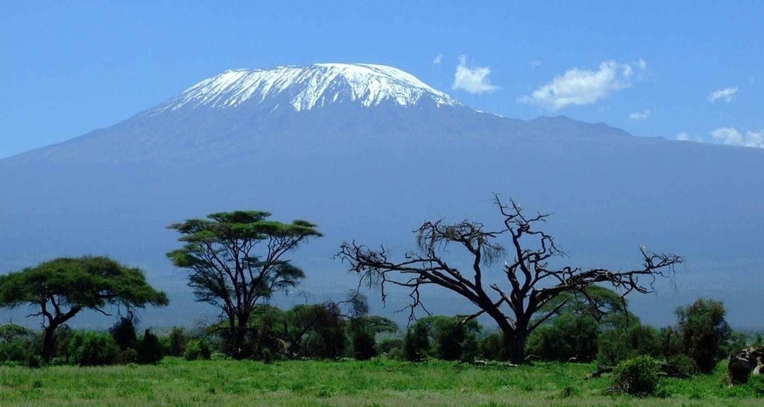 Route du Rongai en 7 jours - Kilimanjaro Economy Safari