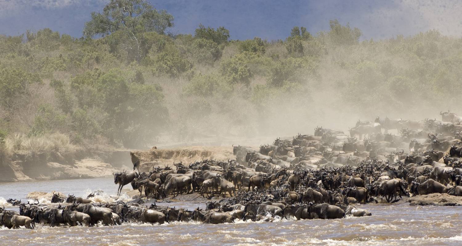 4-Daagse Serengeti Migratie Privé Luxe Safari van & naar Zanzibar - African Polecat Safaris