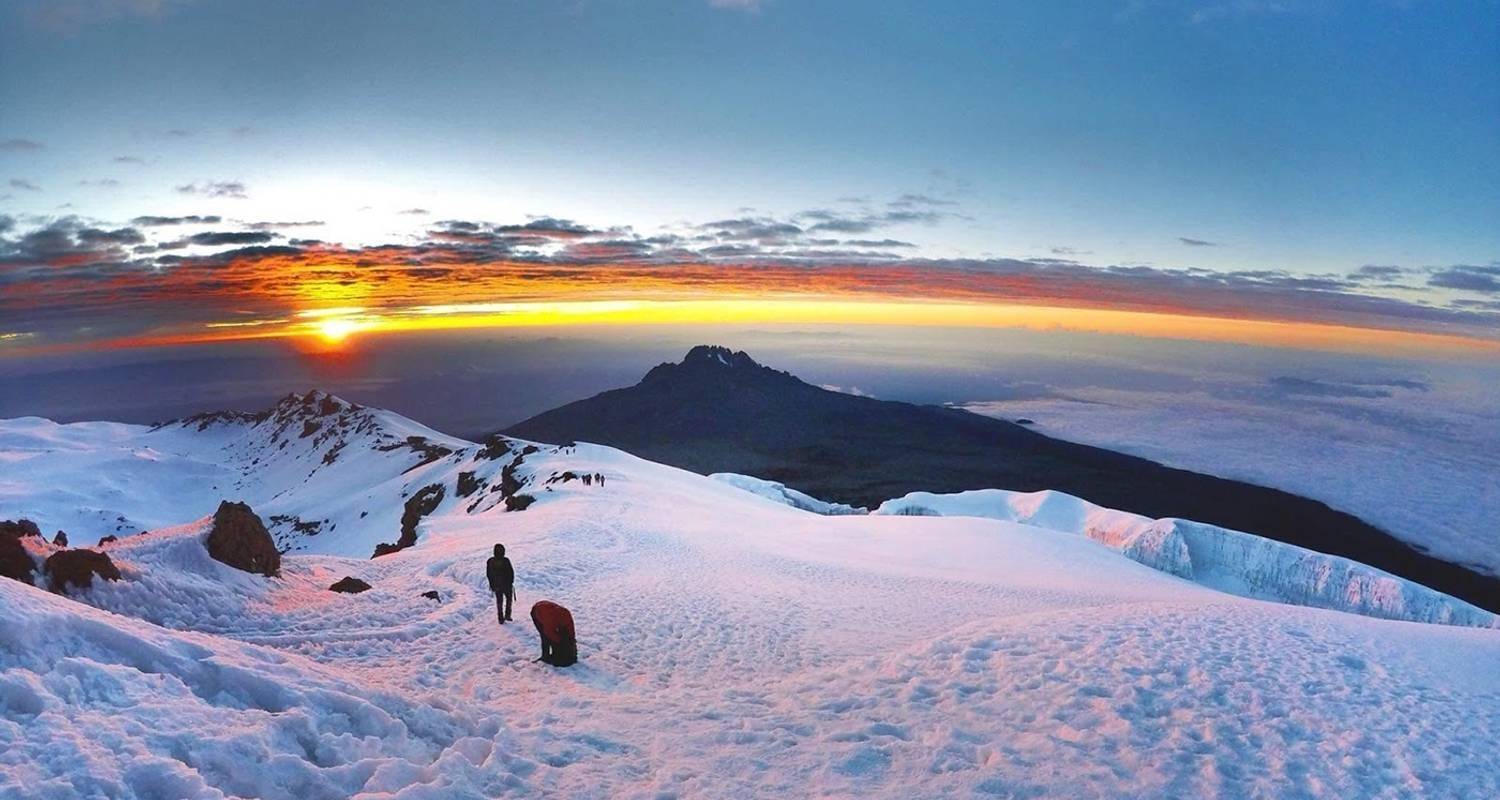 Ruta Lemosho de 7 días - Lo mejor para la aclimatación y el paisaje - Kilimanjaro Wonders Expedition Safari