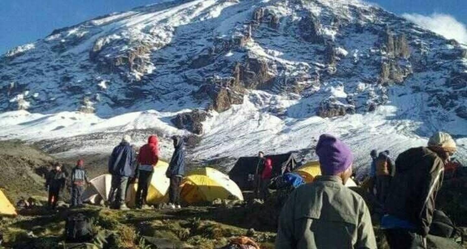 7-daagse Lemosho Route - het beste voor acclimatisatie en landschap - Kilimanjaro Wonders Expedition Safari