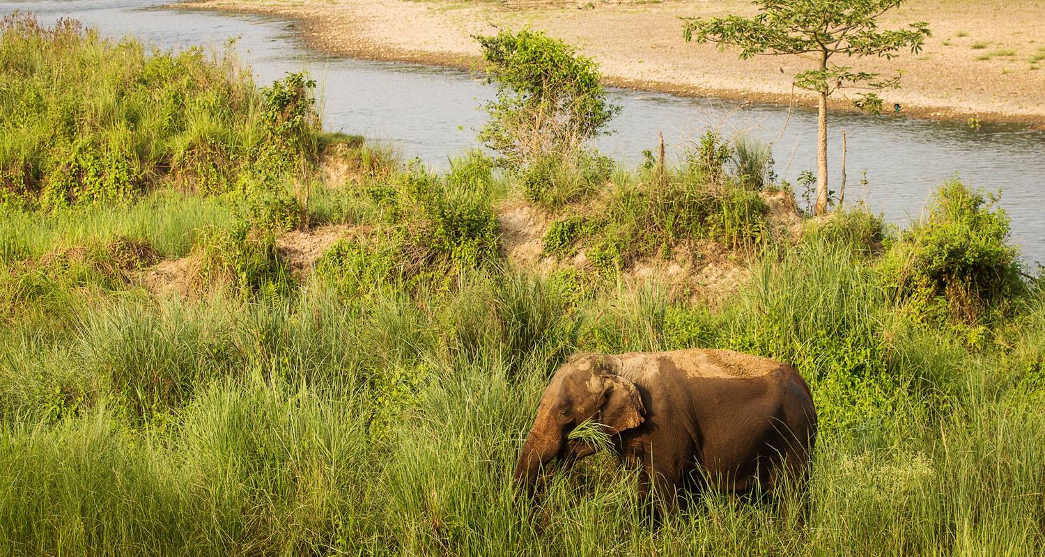 Nepal naar Gouden Driehoek & Goa - 19 dagen - On The Go Tours