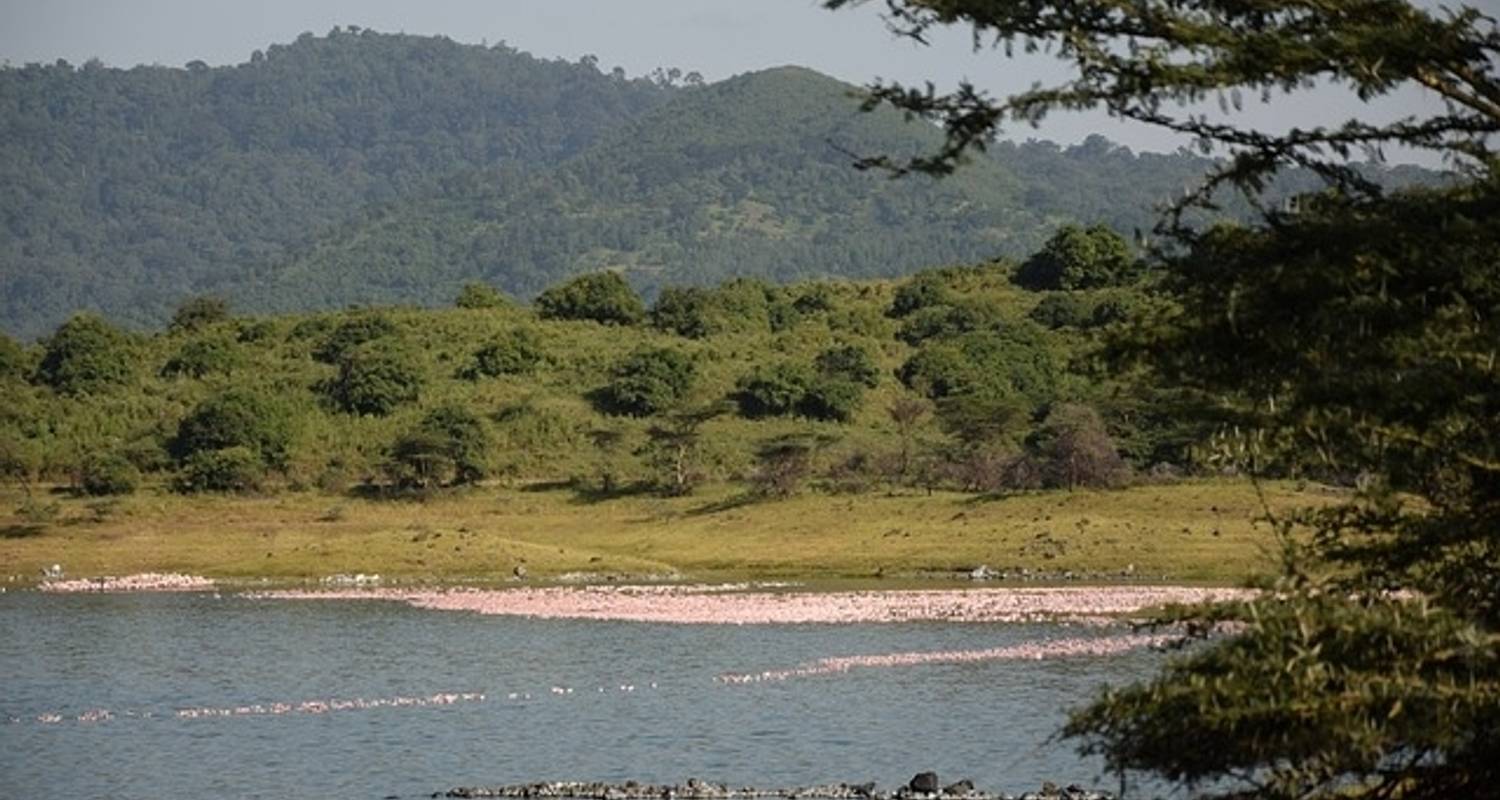 Lo mejor del safari por Tanzania 6D/5N - Tarangire, Serengeti y Ngorongoro - Kilimanjaro Wonders Expedition Safari