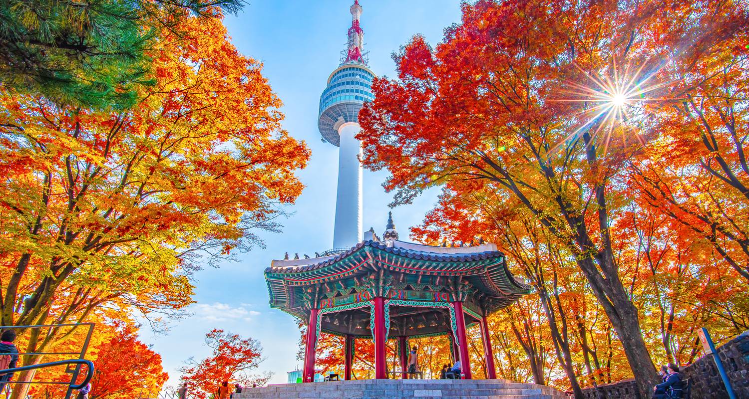 Asia Tours from Tokyo